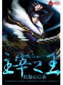 主宰之王TXT八零电子书