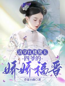 清穿红楼黛玉四爷的娇娇福晋乔家小