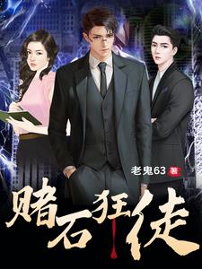 赌石笔趣阁