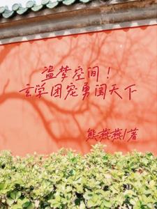 盗梦空间作者