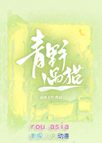 青野遇猫小