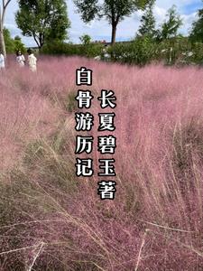 白骨观动画