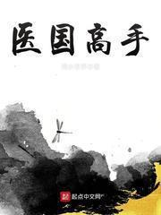医国高手百科