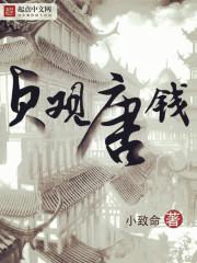 贞观唐钱女主角是谁