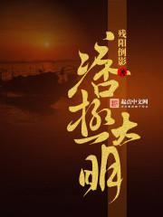 大明痞儒电视剧