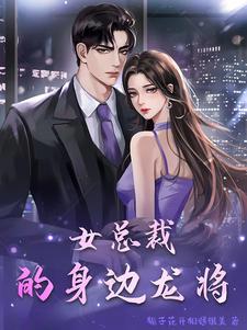 女总裁身边的贴身高手漫画