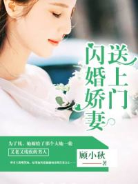 主人公叫皮阳阳、秦玉洁的