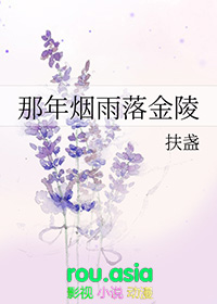 那年烟雨落金陵讲了什么故事