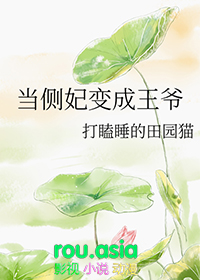 穿越之侧妃当家