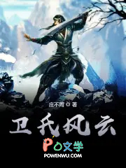 卫氏风云 扫书