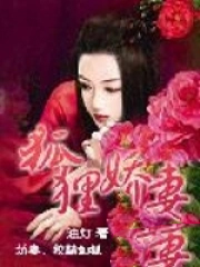 狐狸娇妻油灯